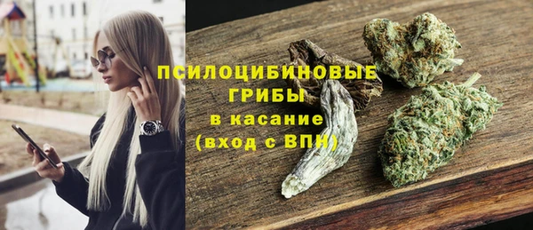 ешки Алзамай