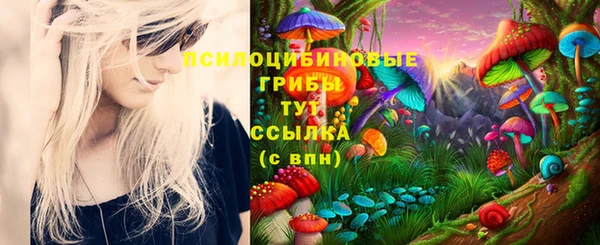 крисы Абинск