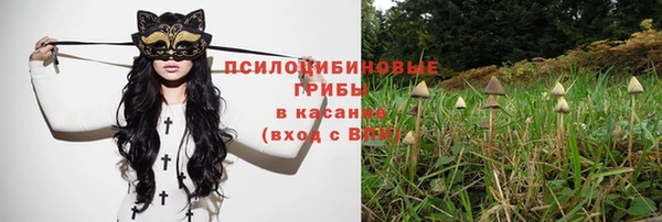 амфетамин Алексин