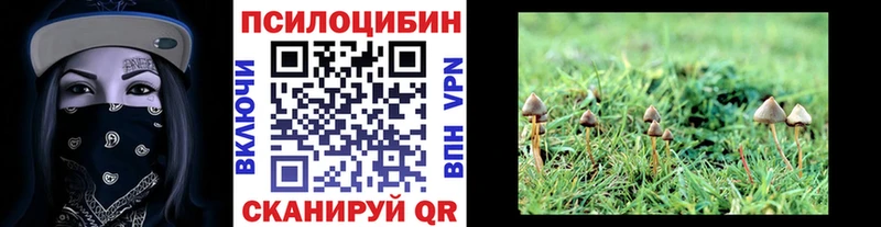 Галлюциногенные грибы Cubensis  ОМГ ОМГ ТОР  Тольятти 