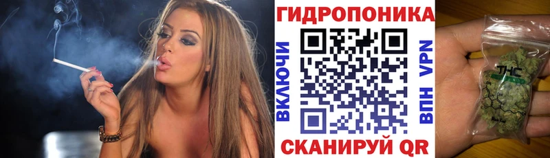 ОМГ ОМГ ССЫЛКА  Тольятти  МАРИХУАНА сатива  где продают  